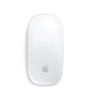 アップル(Apple)のAPPLE MAGIC MOUSE 2(PC周辺機器)