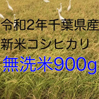 令和2年新米コシヒカリ無洗米900g(米/穀物)