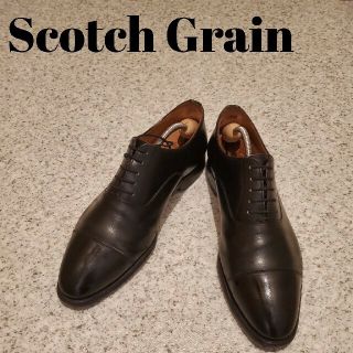 オールデン(Alden)のScotch Grain スコッチグレイン ストレートチップ 26cm (ドレス/ビジネス)