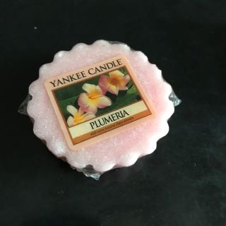 バスアンドボディーワークス(Bath & Body Works)のYANKEE CANDLE タルト　プルメリア(キャンドル)