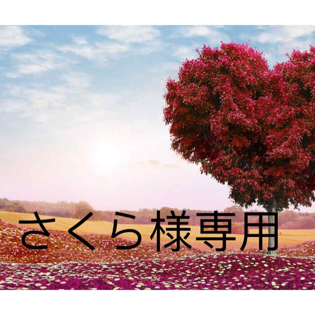 さくら様専用4箱 品質検査済 25000円 www.previntec.com