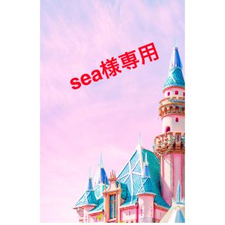 ☆sea様専用☆ハンドメイドオーダー☆(外出用品)