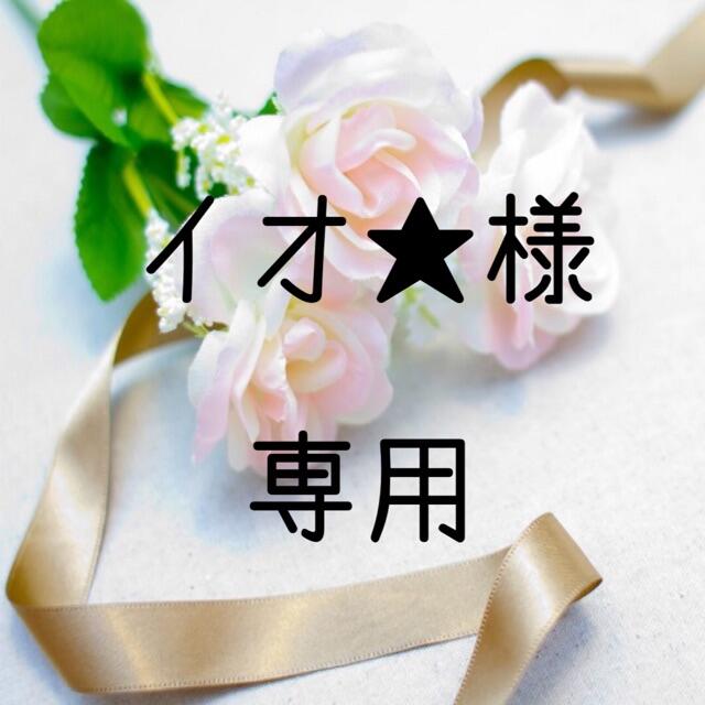 イオ★　お米　令和２年　愛媛県産コシヒカリ　白米　20㎏