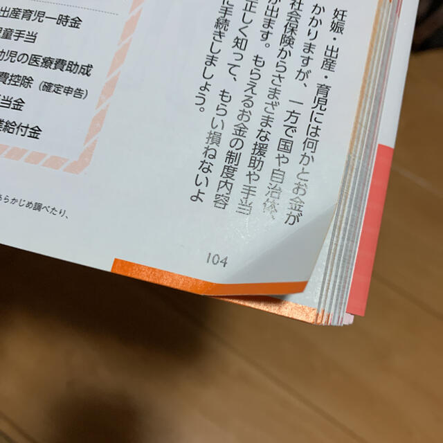 初めての妊娠・出産 気がかりはこの一冊で「解消」 妊娠初期から新生児のお世話ま… エンタメ/ホビーの雑誌(結婚/出産/子育て)の商品写真