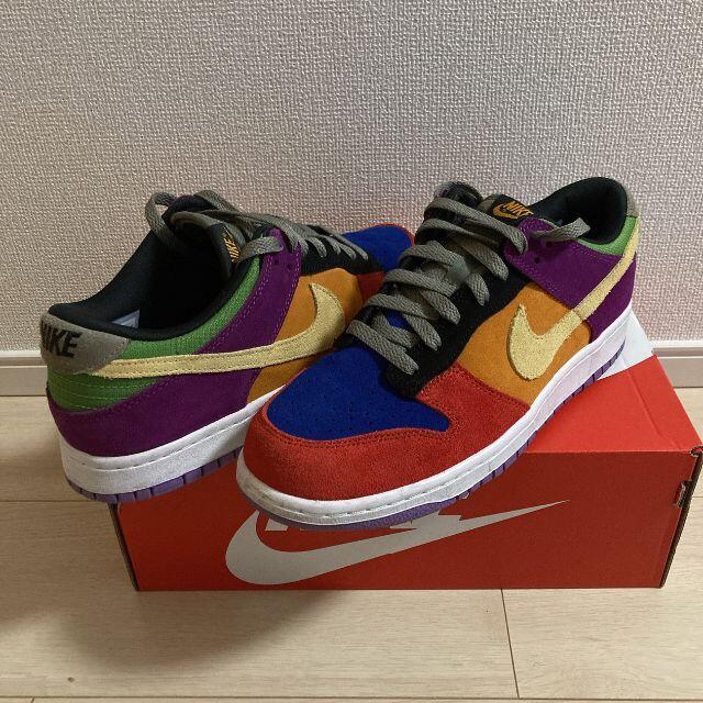 NIKE Dunk Low Viotech ダンク ロー バイオテック 27cm