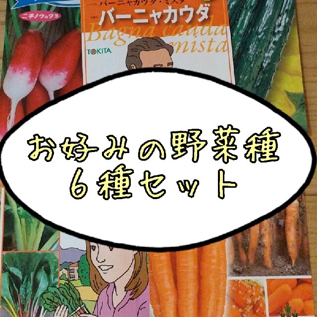 【17種類から選べる】野菜とハーブの種 食品/飲料/酒の食品(野菜)の商品写真