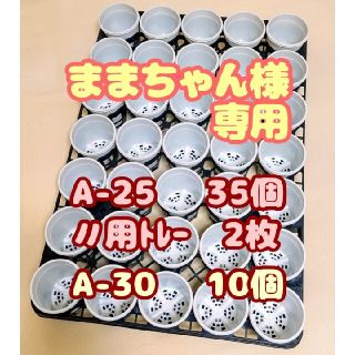 プラ鉢2.5号【A-25】35個+トレー1枚 スリット鉢 プレステラ 多肉植物(プランター)