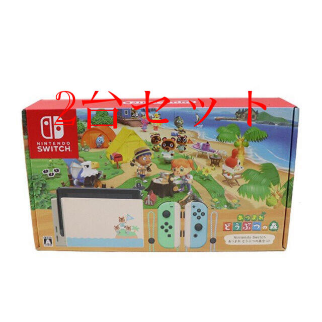 Nintendo Switch - Nintendo switchあつまれどうぶつの森複数台セット