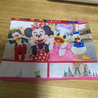 ディズニー(Disney)の【1点のみ】ディズニー　実写　移動ポケット(外出用品)