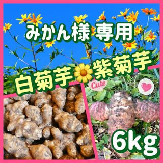 【みかん様 専用】白菊芋&紫菊芋(野菜)