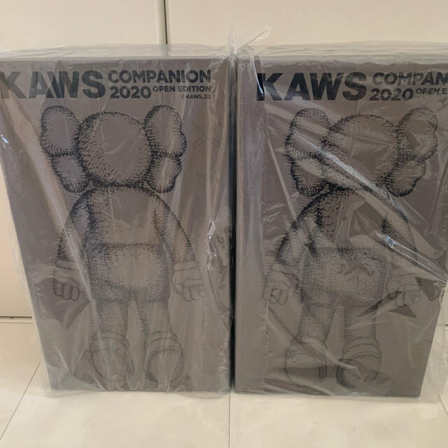 kaws companion 2020 brown 1体その他