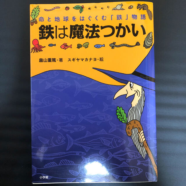 鉄は魔法つかい 命と地球をはぐくむ「鉄」物語 エンタメ/ホビーの本(絵本/児童書)の商品写真