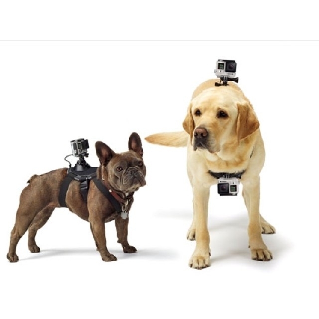 GoPro(ゴープロ)のGoPro純正 FETCH ドッグハーネス Dog Harness スマホ/家電/カメラのスマホアクセサリー(自撮り棒)の商品写真