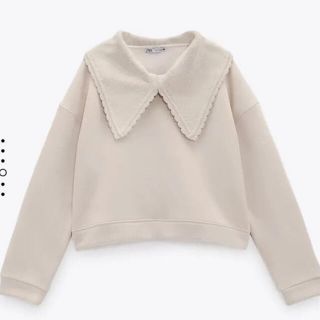 ザラ(ZARA)の新品未使用タグ付き ZARA ニットカラースウェットシャツ 襟付きスウェット(トレーナー/スウェット)