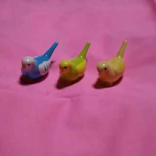 新品未使用 プレミィコロミィ セキセイインコ 箸置き(カトラリー/箸)