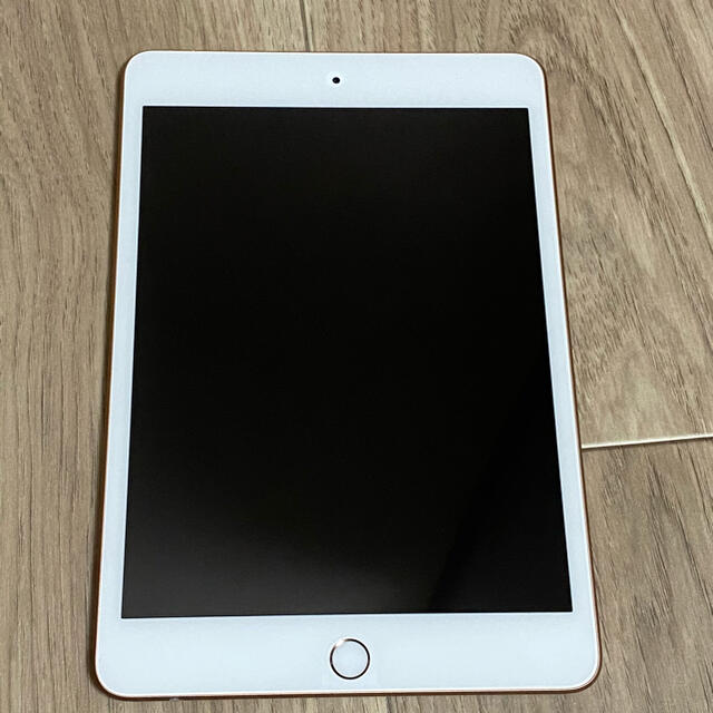 【美品】iPad mini5 64GB SIMフリー A2124