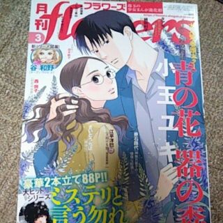 月刊フラワーズ2021年3月号(少女漫画)