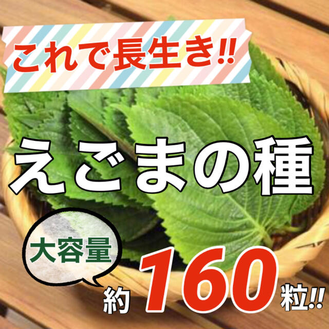 【栄養満点‼️】えごまの種 1ml(約160粒) エゴマ ハーブ 野菜 タネ 種 食品/飲料/酒の食品(野菜)の商品写真