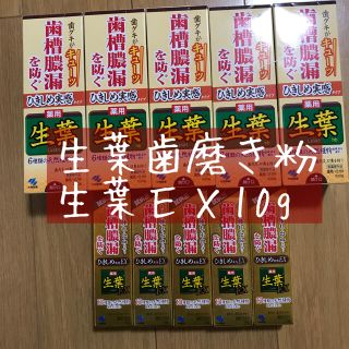 コバヤシセイヤク(小林製薬)の生葉歯磨き粉　生葉　歯磨き粉　生葉ＥＸ(歯磨き粉)