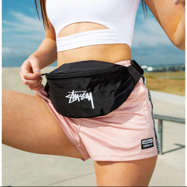 STUSSY(ステューシー)のステューシー ウエストポーチ 新品未使用 メンズのバッグ(ウエストポーチ)の商品写真