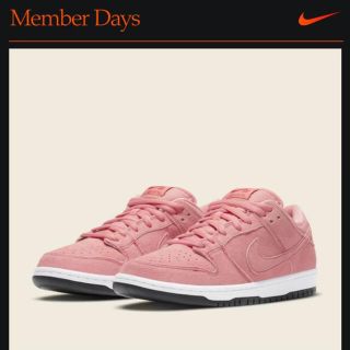 ナイキ(NIKE)のNIKE SB DUNK LOW 27cm 新品 国内正規品(スニーカー)