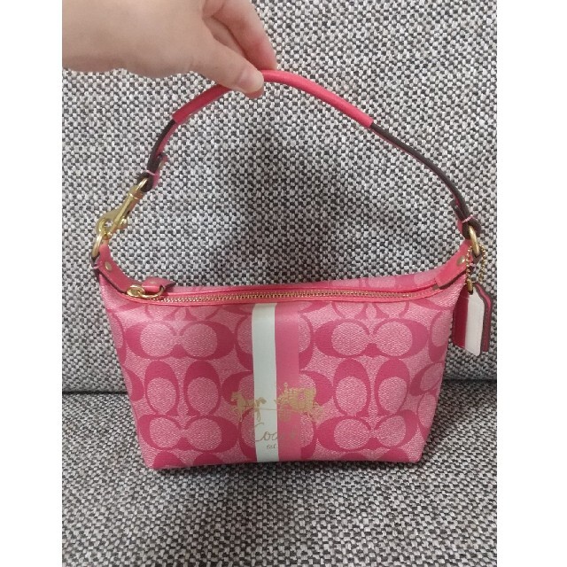 セール時期 ⭐︎コーチ COACH アクセサリーポーチ ハンドバッグ