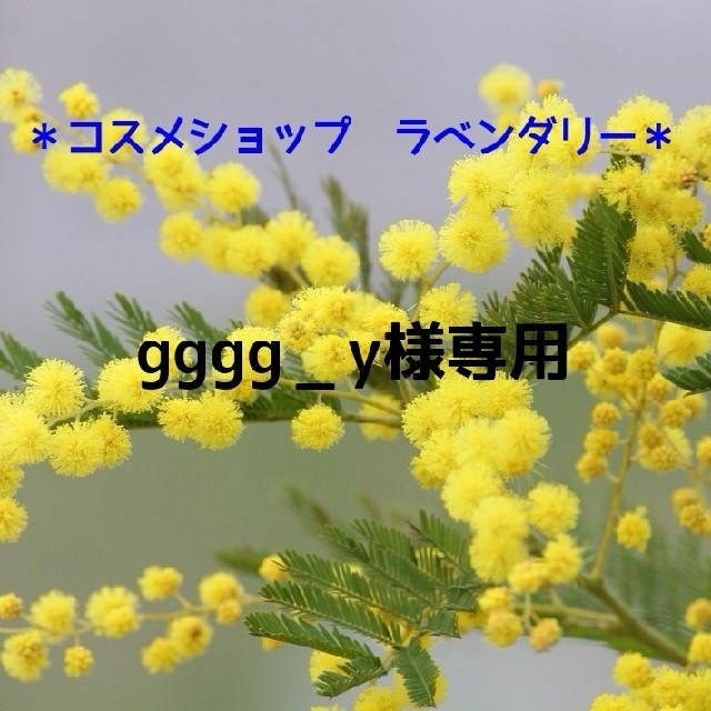 LISSAGE(リサージ)のgggg_y様専用 コスメ/美容のヘアケア/スタイリング(シャンプー/コンディショナーセット)の商品写真