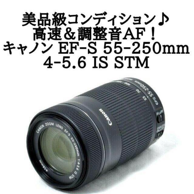 新品未使用 EF-S55-250mm F4-5.6 IS STM キャノン