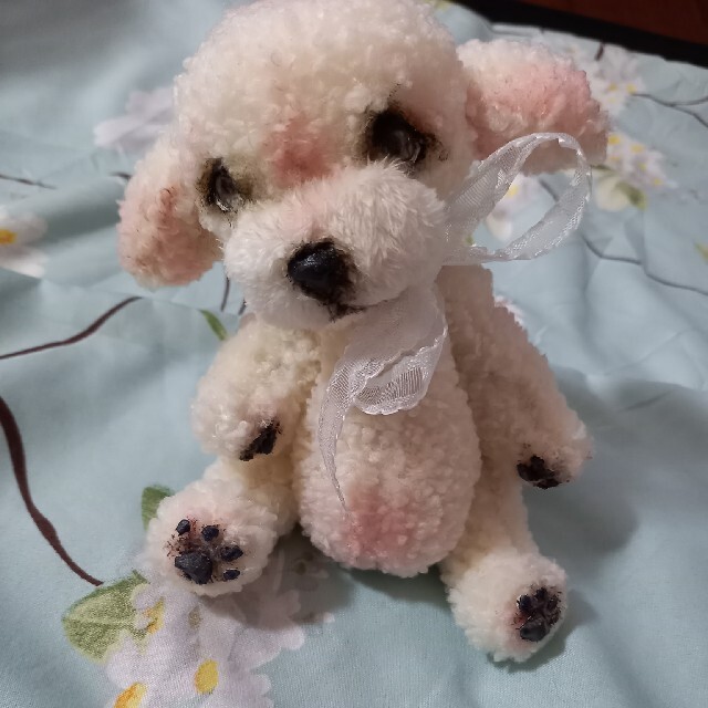 テディベア ぬいぐるみ 犬 プードル 白 ハンドメイド 手作りの通販 By Xxfancyxxtimexx ラクマ