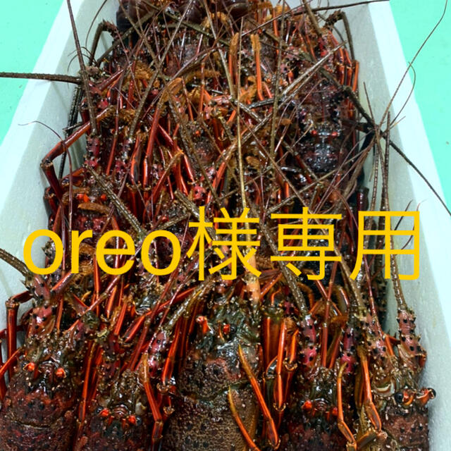 伊勢海老食品