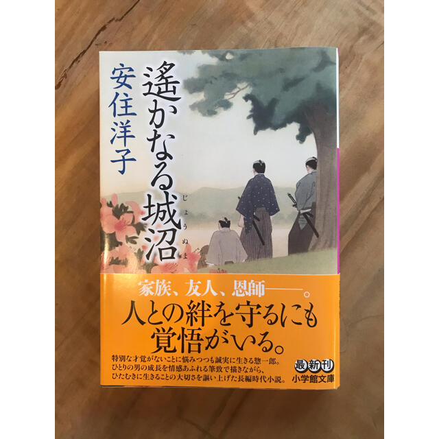遙かなる城沼 エンタメ/ホビーの本(文学/小説)の商品写真