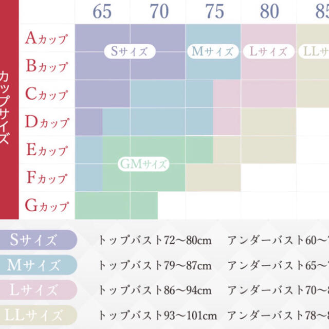 セレブラ(GL)＆スリビー(L)セット