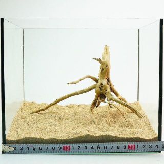流木 アク抜・沈水済 20cm弱 SW322 アクアリウム(アクアリウム)