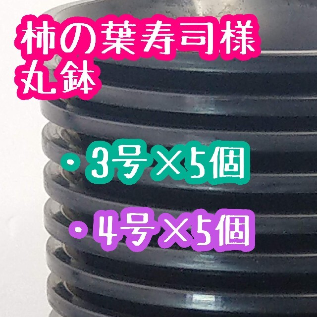 柿の葉寿司様 丸鉢 ハンドメイドのフラワー/ガーデン(その他)の商品写真
