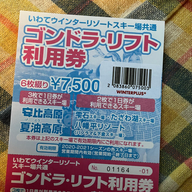 20-21シーズン　岩手県スキー場チケット6枚綴りスポーツ