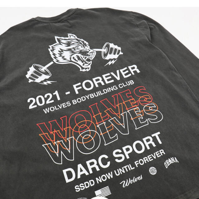 Darc Sport LS TEE メンズのトップス(Tシャツ/カットソー(七分/長袖))の商品写真