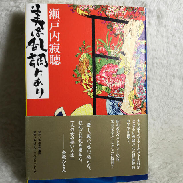 美は乱調にあり エンタメ/ホビーの本(文学/小説)の商品写真