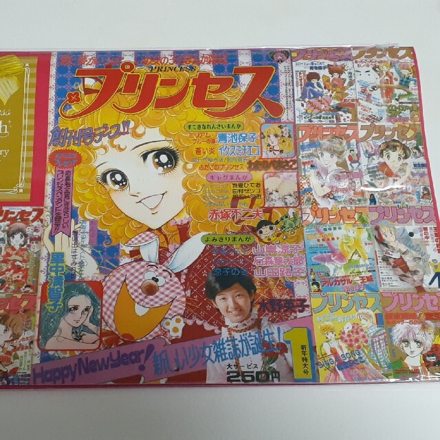 秋田書店(アキタショテン)の月刊プリンセスアニバーサリーカレンダー2015 エンタメ/ホビーの声優グッズ(カレンダー)の商品写真