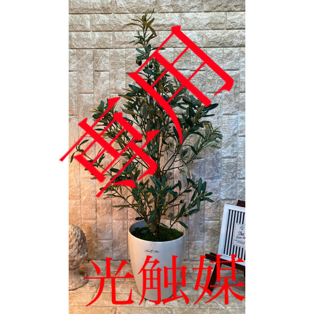 光触媒 人工観葉植物 ウォールグリーン 造花 インテリア オリーブ100 ...