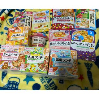 ワコウドウ(和光堂)の離乳食11点セット＋おしゃぶり付き(その他)