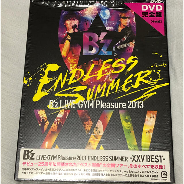 B’z　LIVE-GYM　Pleasure　2013　ENDLESS　SUMME