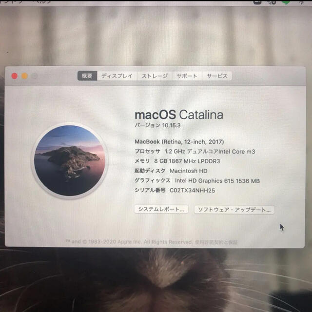 Apple(アップル)の【最終値下げ！】MacBook 12インチ ローズゴールド 256GB スマホ/家電/カメラのPC/タブレット(ノートPC)の商品写真