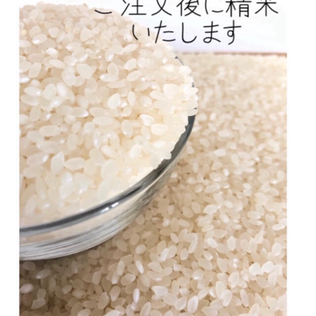 栃木県産コシヒカリ、ゆうだい21【食べくらべセット】5kg×2 2