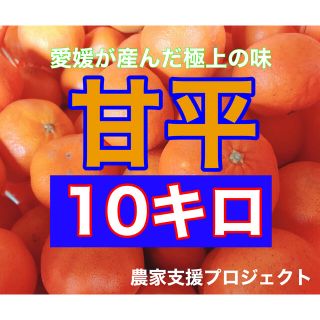 甘平10キロ  (フルーツ)