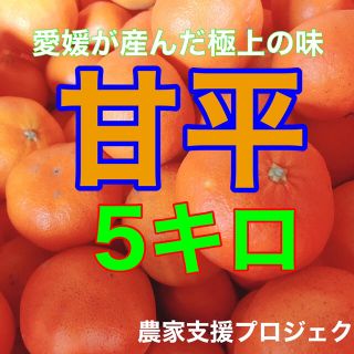 甘平5キロ  (フルーツ)