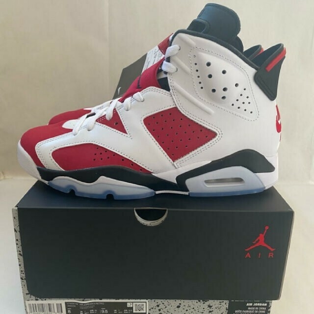 NIKE(ナイキ)の26cm NIKE AIR JORDAN 6 Retro Carmine   メンズの靴/シューズ(スニーカー)の商品写真