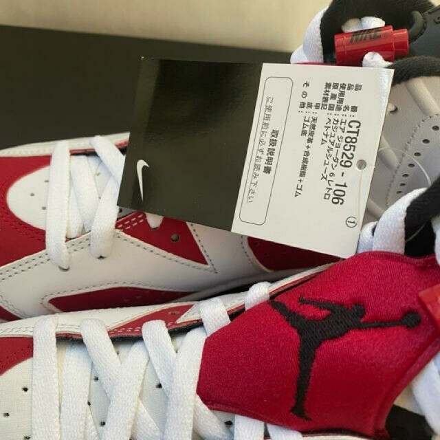 NIKE(ナイキ)の26cm NIKE AIR JORDAN 6 Retro Carmine   メンズの靴/シューズ(スニーカー)の商品写真