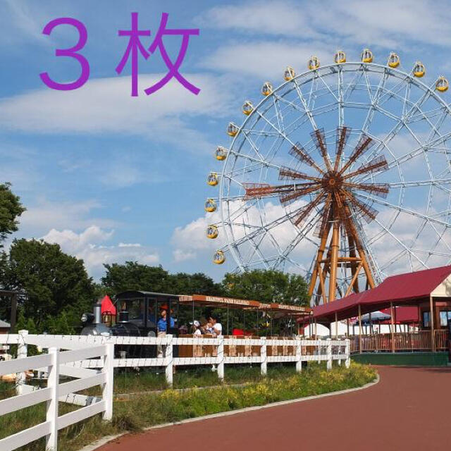 東武動物公園　フリーパス　3枚チケット