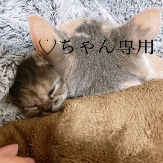 ♡ちゃん専用(ブラウス)