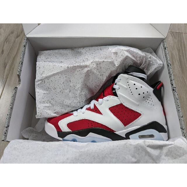 NIKE AIR JORDAN 6 CARMINE カーマイン 27cm